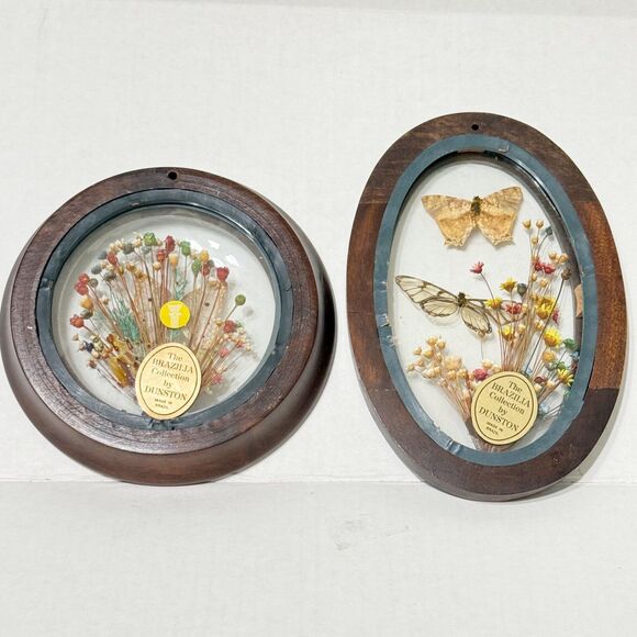 2 VTG Brazilia Collection Dunston Dried Flower Butterfly Wood Frame Oval + Round - Picture 2 of 9